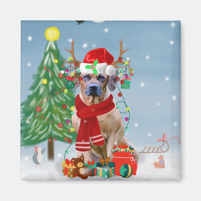 Imán Rhodesian Ridgeback perro en regalo de Navidad de  (Frente)