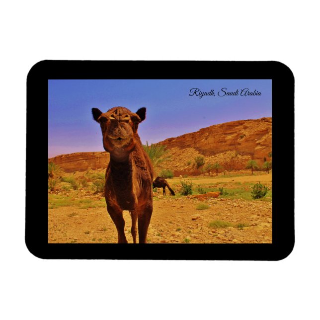 Imán Riad, Arabia Saudita (Horizontal)