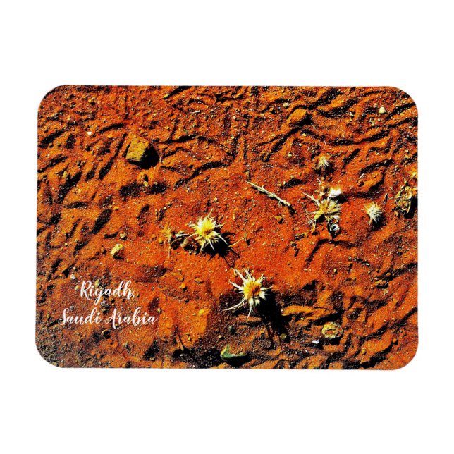 Imán Riad, Arabia Saudita (Horizontal)