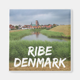 Imán Riberhus y Ribe, Jutland, Dinamarca