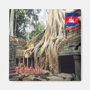 Imán Rif. KH Cambodia, Ta Prohm,