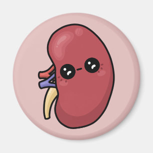 Imán Riñón Adorable - Biología Humana