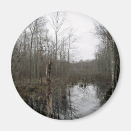 Imán Río a través del bosque