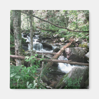 Imán Río ascendente