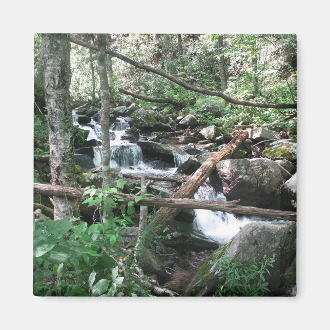 Imán Río ascendente (Frente)