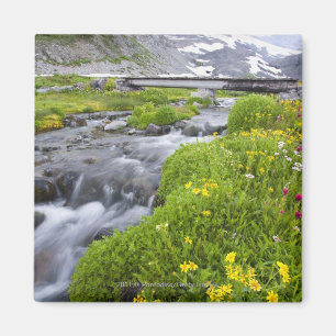 Imán Río borroso con los Wildflowers rosados blancos