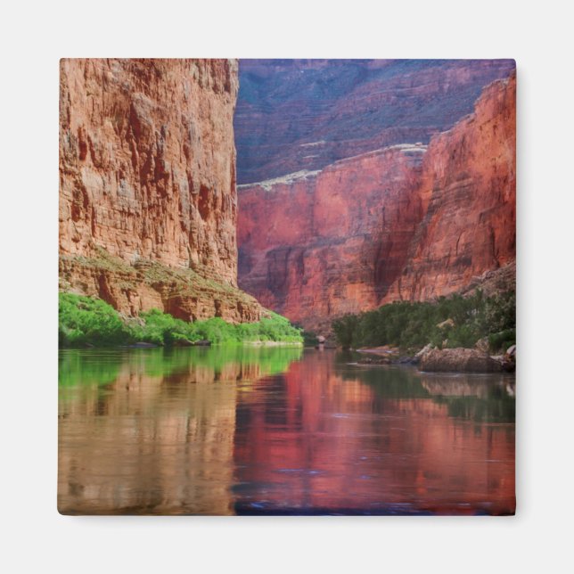 Imán Río Colorado en el Gran Cañón, AZ (Frente)