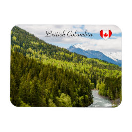 Imán Río de montaña en el bosque de Columbia Británica