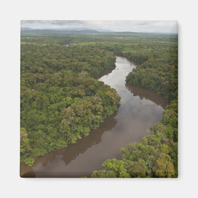 Imán Río Essequibo, río más largo de Guyana, y 5 (Frente)
