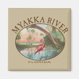 Imán Río Myakka en Florida con la cucharada de Roseate