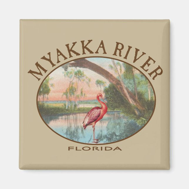 Imán Río Myakka en Florida con la cucharada de Roseate (Frente)