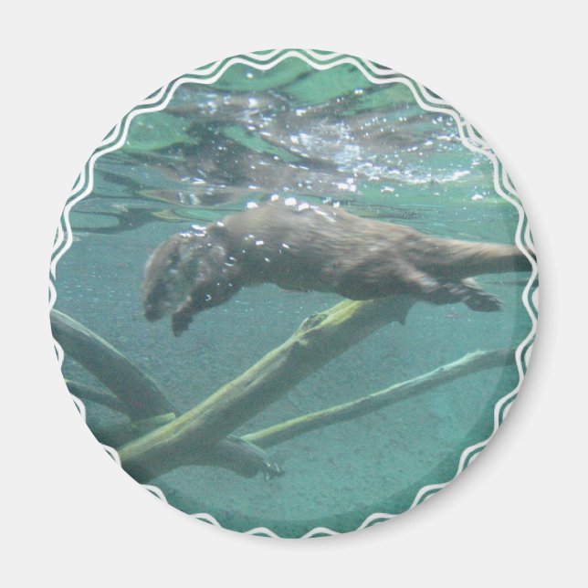 Imán Río Otter Magnet (Frente)