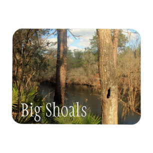 Imán Río Suwanee, Parque Estatal Big Shoals, Florida