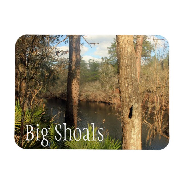 Imán Río Suwanee, Parque Estatal Big Shoals, Florida (Horizontal)