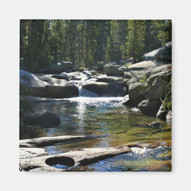 Imán Río Tuolumne en Tuolumne Meadows, Yosemite, CA (Frente)