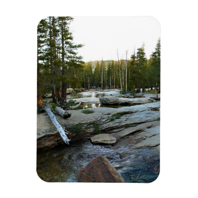 Imán Río Tuolumne por Campground, Yosemite, CA (Vertical)