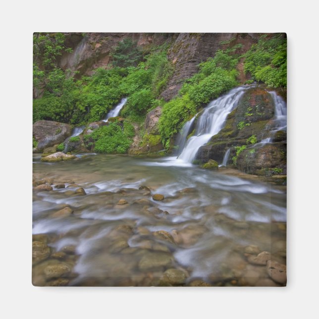 Imán Río Virgin de las Grandes Primas | Parque nacional (Frente)
