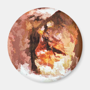 IMÁN RIVER SPIRIT