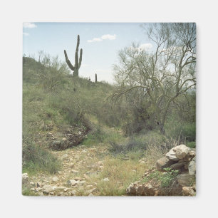 Imán Riverbed Remembrance Desert Refrigerator Magnet