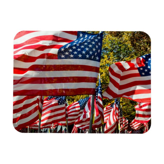 Imán Riverdale, Nueva York, Estados Unidos. País del vi (Horizontal)