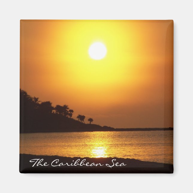 Imán Riviera Maya Cancún México Fenómeno del Mar Caribe (Frente)