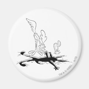 Imán ROAD RUNNER™ y WILE E. COYOTE™