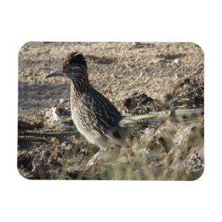 Imán Roadrunner Magnet
