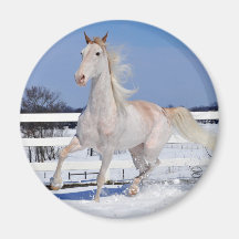 Roan rojo en la nieve