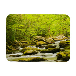 Imán Roaring Fork en primavera