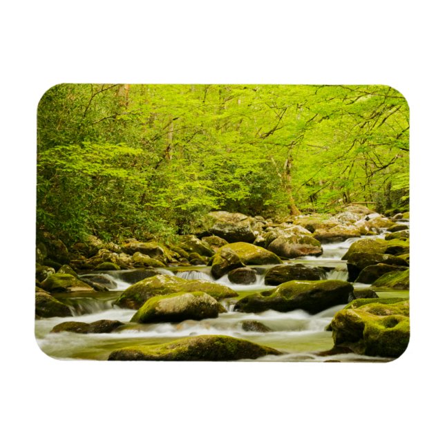 Imán Roaring Fork en primavera (Horizontal)