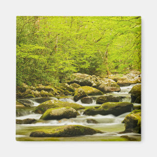 Imán Roaring Fork en primavera