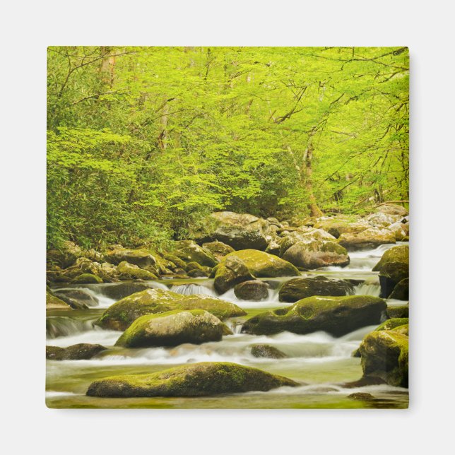 Imán Roaring Fork en primavera (Frente)