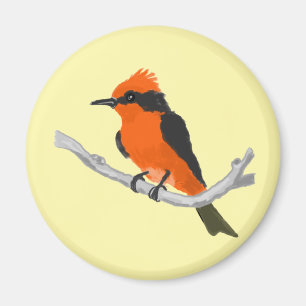 Imán Robin