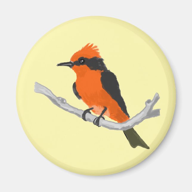 Imán Robin (Frente)