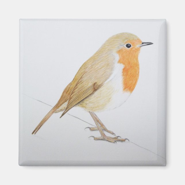 Imán Robin 2011 (Frente)