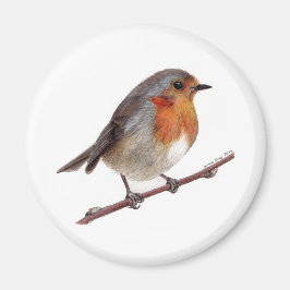 Imán Robin Bird (Erithacus Rubecula) Magnet