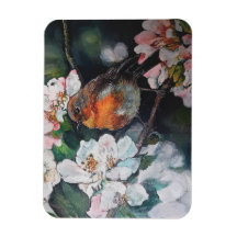 Robin con flor de cerezo