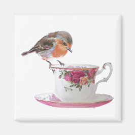 Imán Robin en una taza de té