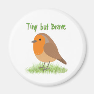 Imán Robin Magnet pequeño pero valiente