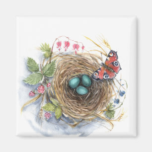 Imán Robin Nest