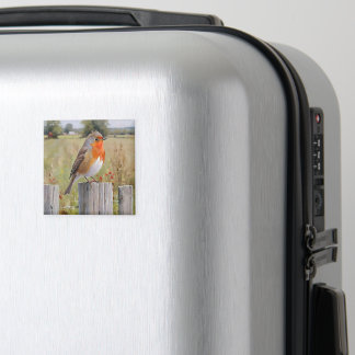 Imán Robin Redmama Magnet