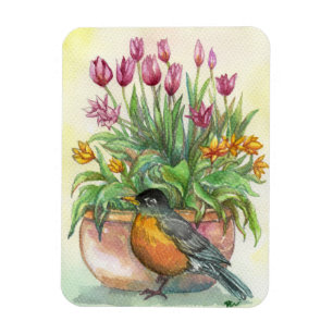 Imán Robin y Tulips