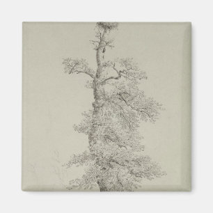 Imán Roble antiguo con la jerarquía de una cigüeña