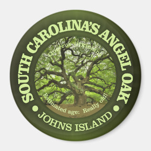 Imán Roble del ángel