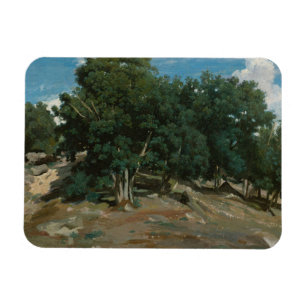 Imán Robles de Fontainebleau