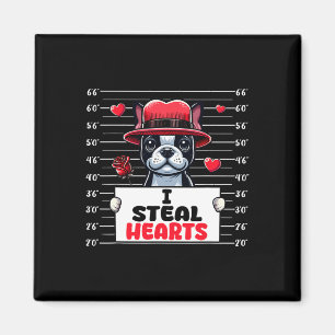 Imán Robo Corazones Lindos Día de San Valentín Boston T
