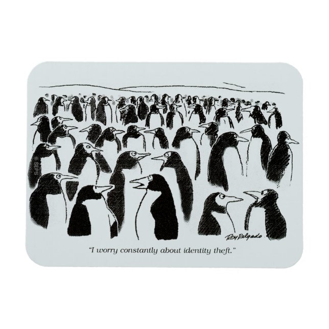 Imán Robo de identidad (Horizontal)