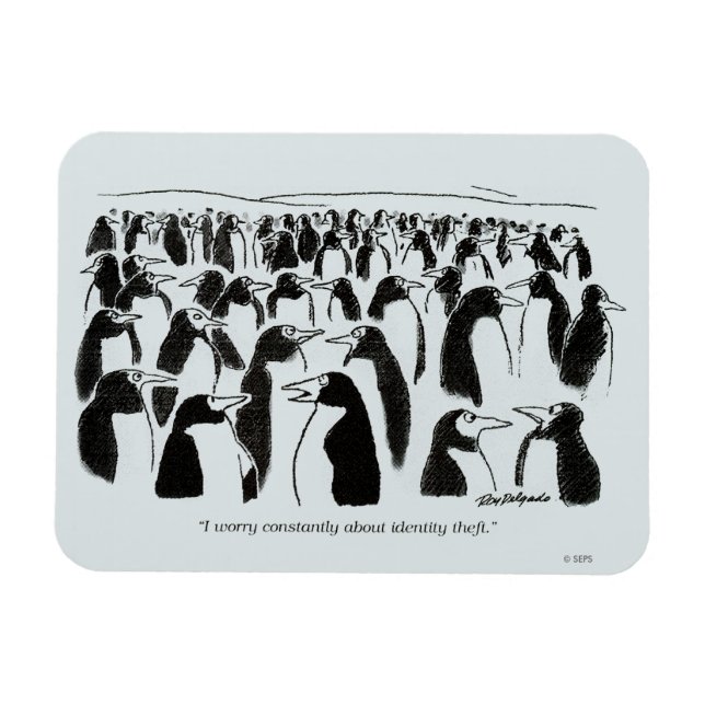 Imán Robo de identidad (Horizontal)