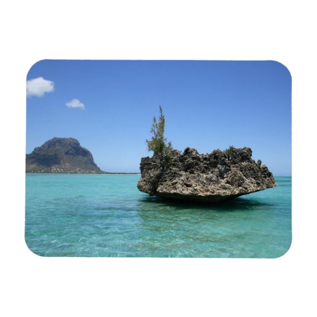 Imán Roca de cristal compuesta de coral (Horizontal)