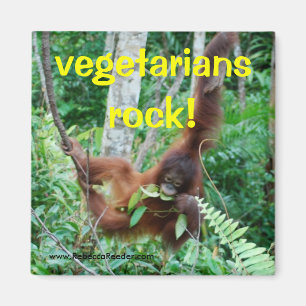 Imán ¡Roca de los vegetarianos del primate!